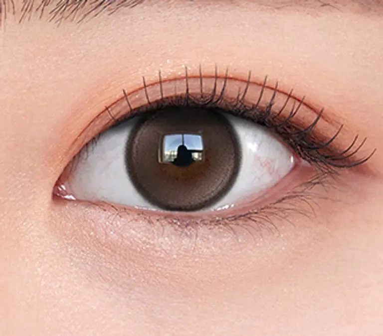 글로이티어 브라운(2P)